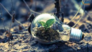 CI2253-advantages-of-environmental-sustainability